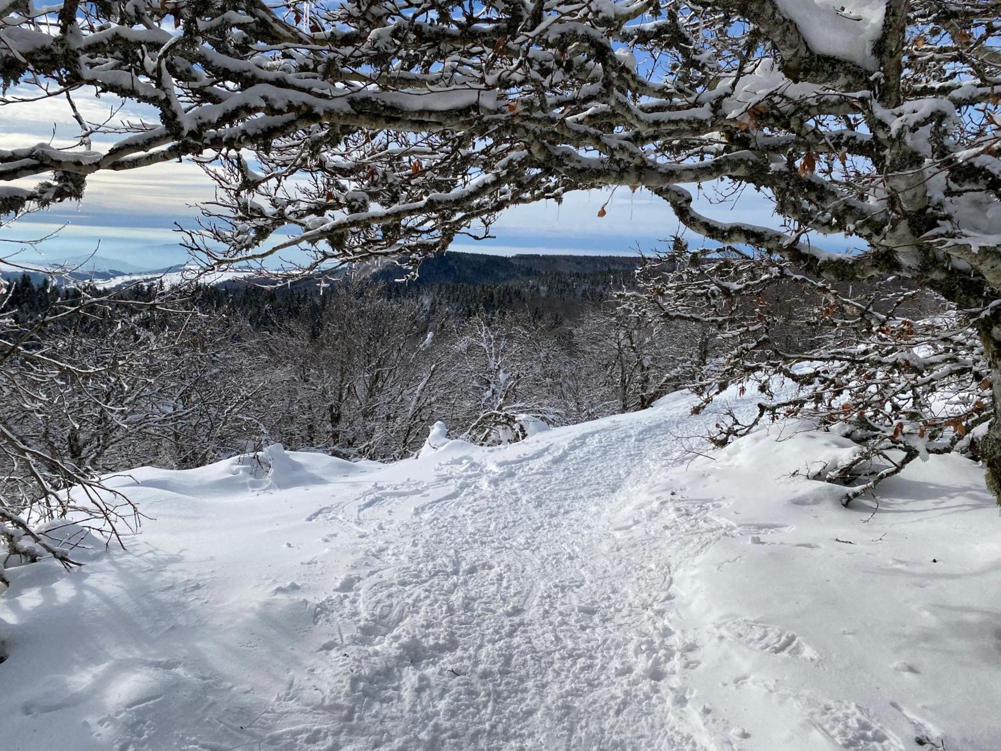 Vila L'Echappee Belle, Vue Panoramique Sur La Campagne Saint-Saturnin-de-Lenne Exteriér fotografie